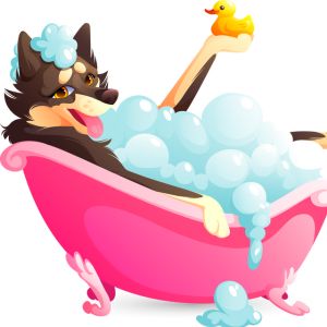 Self-service Dog Wash in Roanoke, VA - Graphic of dog in pink bath tub