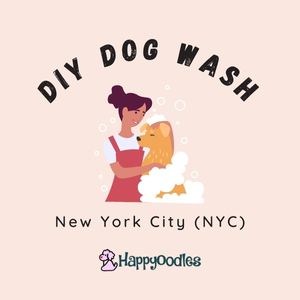 Self-service Dog Wash in New York City (NYC) 