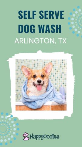 Self Serve Dog Wash in Arlington, Texas - Pinterest pin

