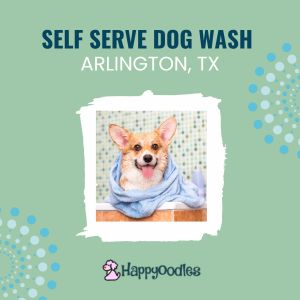 Self Serve Dog Wash in Arlington, Texas - Happyoodles.com title pic
