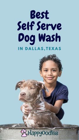 Self Serve Dog Wash Station in Dallas, Texas