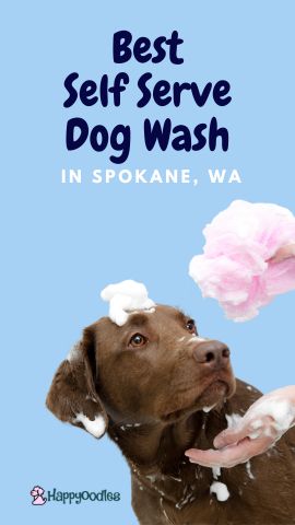 4 Best Self Service Dog Wash  -Spokane, WA pin Happyoodles.com
