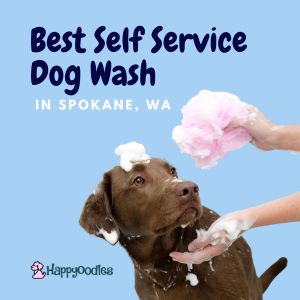 Best Self Service Dog Wash in Spokane WA - Happyoodles.com
