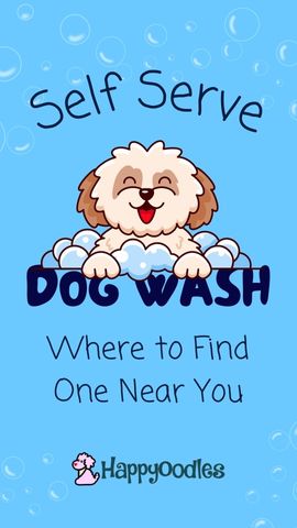 Self Serve Dog Washing Station: Where to find One - Pin - Happyoodles.com 