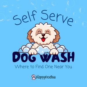 Self Serve Dog Wash Station: Where to find One - Happyoodles.com