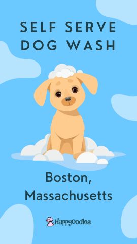 Best Self-serve Dog Wash Station in Boston, MA - Happyoodles.com pin
