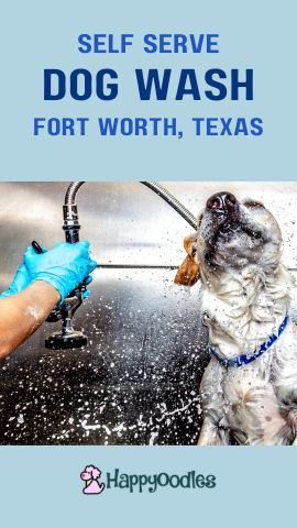 Self Serve Dog Wash in Fort Worth, Texas - Happyoodles.com pinterest pin
