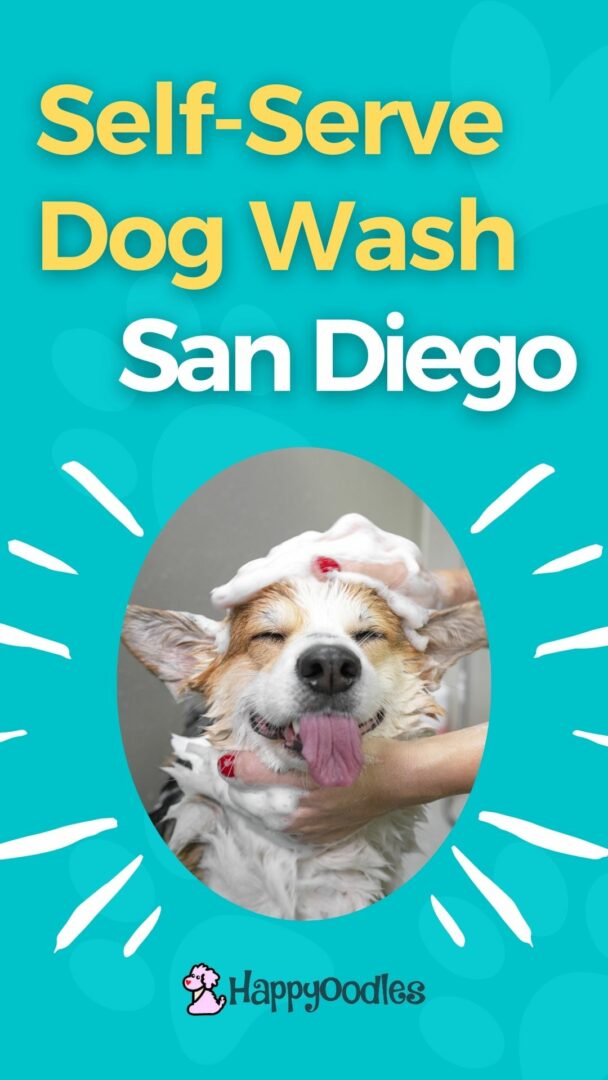 11 Best SelfServe Dog Wash in San Diego, CA Happy Oodles