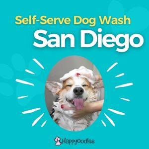 Best Self-Serve Dog Wash in San Diego, CA - Happyoodles.com Title pic