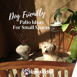 Dog Patio Ideas For Small Spaces - Happyoodles,com title pic with dog on patio