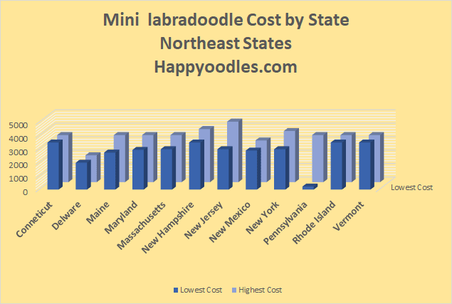 Mini Labradoodle Cost by State Northeast States - Happyoodles.com 