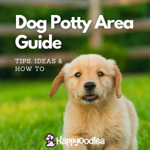 Dog Potty Area Guide: Tips, Ideas and How to