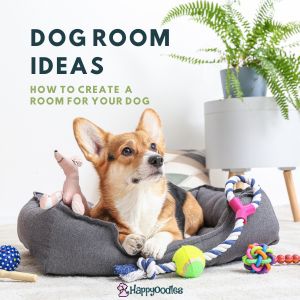 Best Dog Room Ideas: 33 Ways to Create a Dog Room - Title picture with dog on gray bed with toys around them. 
