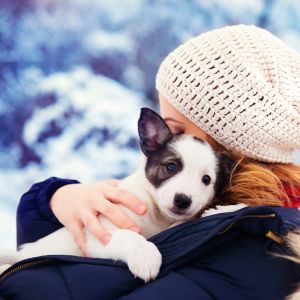 Small dog held by a women in snowy forest
