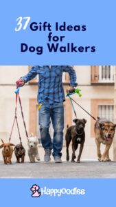 Gifts for dog walkers pin with man walking five dogs. 