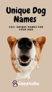 Unique Dog Names: 325+ Unique Names for Your Dog Pin 