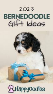 2023 Bernedoodle Lover Gift Ideas Pinterest
