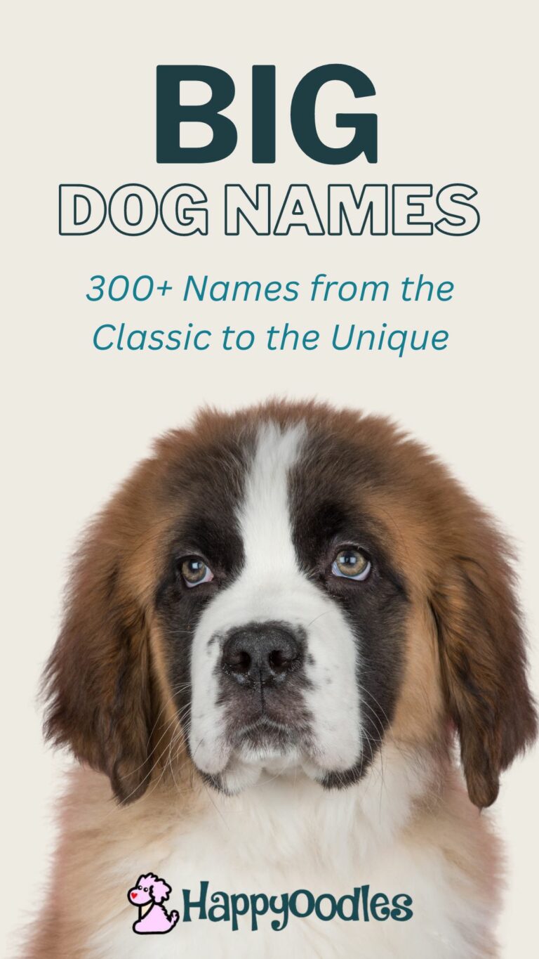 Big Dog Names Popular & Unique Names for Large Dogs