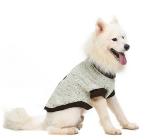 Does Your Dog Need a Sweater?- Turtleneck Dog Sweater wiht white dog