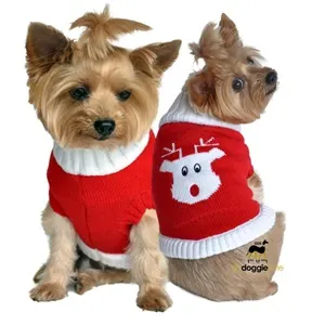 Trendy Christmas Sweaters for Dogs in 2023 - Small dog with red sweater
