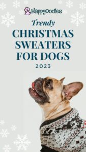 Trendy Christmas Sweaters for Dogs in 2023 - Pin with bulldog in sweater
