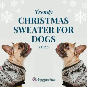 Holiday Traditions to Share With Your Dog - Dog Christmas Sweater