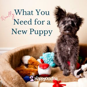 New Puppy Check List: What You Really Need for a Puppy