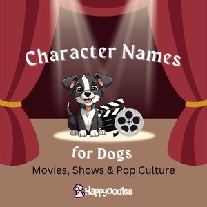 Character Names for Dogs: Movies, Shows & Pop Culture - title pic with cartoon puppy on stage with film reel