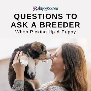 Questions To Ask A Breeder When Picking Up A Puppy title pic with women holding a puppy. 