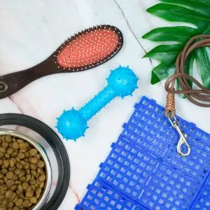 Pet supplies,including dog food and bowl, brush, toy and leash
