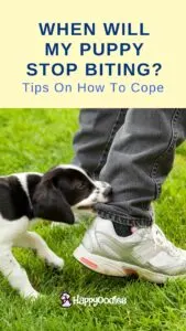 When Will My Puppy Stop Biting? Tips On How To Cope - Pinterest pin with post title and picture of puppy biting the pant leg or a person. 