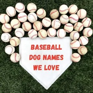 199+ Best Baseball Dog Names Inspired By The Game - heart made from baseballs and diamond with "Baseball Dog Names we love