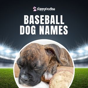 175 Best Baseball Dog Names Inspired by the Game - title with picture insert of puppy laying on baseball bat 