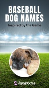 199+ Best Baseball Dog Names Inspired By The Game - Pin title with picture insert of puppy laying on baseball bat 