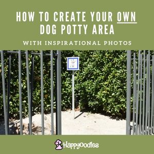 Guide to Creating a Outdoor Dog Potty Area - 2024 - title pic with pic of professional dog potty area