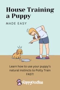 House training a puppy - Cartoon of a women leaning over a puppy while yelling at them for peeing on the floor. 