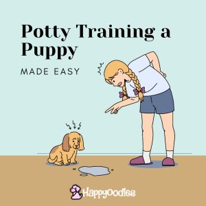 Potty Training a Puppy: Made Easy - title pic of women and puppy -Cartoon of a women yelling at a puppy for peeing on the floor. 