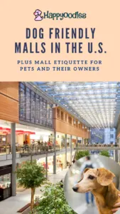 Are Dogs Allowed in the Mall? Plus 39 Dog-Friendly Malls - Pin with pic of mall and dog in insert. 