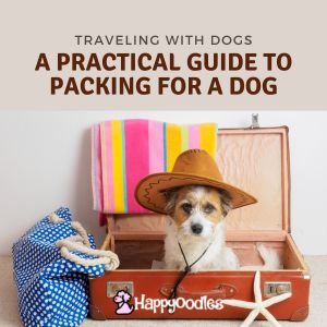Traveling with Dogs: A Practical Guide To Packing For a Dog - title picture with cute small dog in suitcase with hat on and colorful towel and bag nearby.