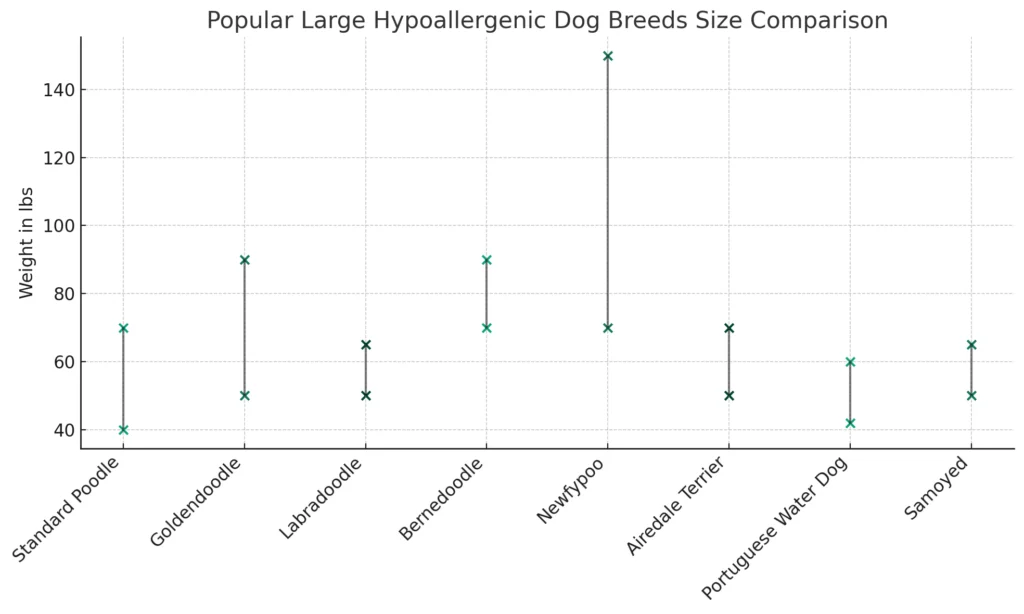 Popular Large Hypoallergenic Dog Breeds size Comparison Chart
