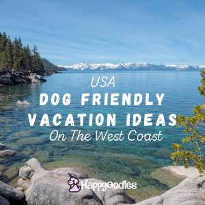 USA Dog Friendly Vacation Ideas on the west Coast. - Scenic picture of Lake Tahoe with snow covered mountains in the background