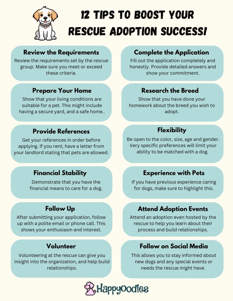 Infographic listing out 12 tips to help you get selected by a rescue organization