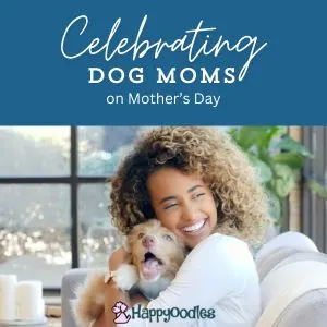 Title picture "Celebrating Dog Moms on Mother's Day" with dark blue background. Underneath is a picture of a woman cuddling a dog on a couch withe a window behind them.