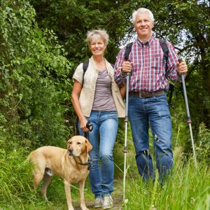 Older couple on hiking trail with a yellow lab