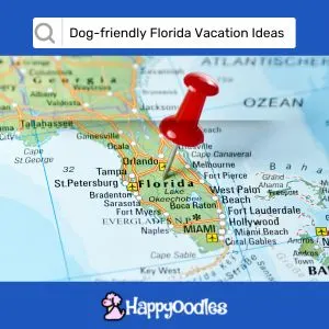 Title : Dog-Friendly Florida Vacation Ideas with picture of a map of Florida. With a red pin in it.