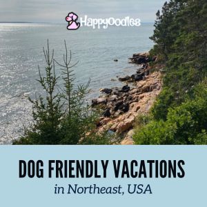 Happyoodles.com Title "Dog Friendly Vacations in Northeast USA, with pic overlooking coastline at Acadia National Park - Photo credit Happyoodles.com