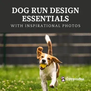 Happyoodles.com Dog Run Essentials title page with pic of a beagle with a toy in their mouth running in grass with a fence behind them.