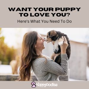 Title "Want Your Puppy to Love You? Here's what you need to do. With a picture of a women holding up a puppy nose to nose.