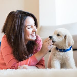 Woman hand feeding a puppy on the floor