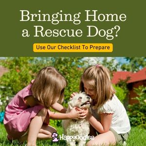 Title - Bringing Home a Rescue Dog? Use our checklist to prepare. with picture of two young girls with an older dog outside.